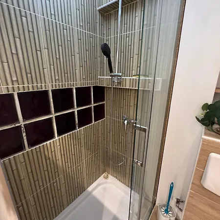 Jolie Climatise Avec Piscine Apartmán Antibes